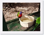 At the Zoo (5) * 1024 x 768 * (162KB)